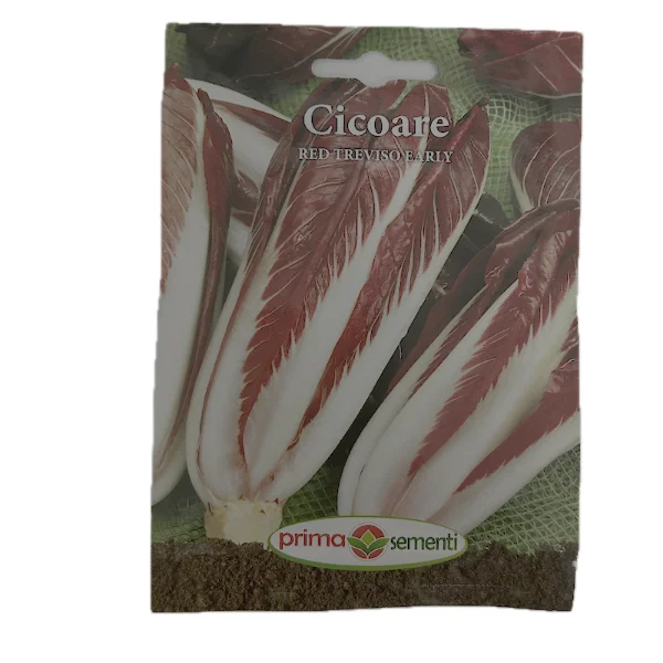 Seminte cicoare Red Treviso Early 5 gr, Prima Sementi