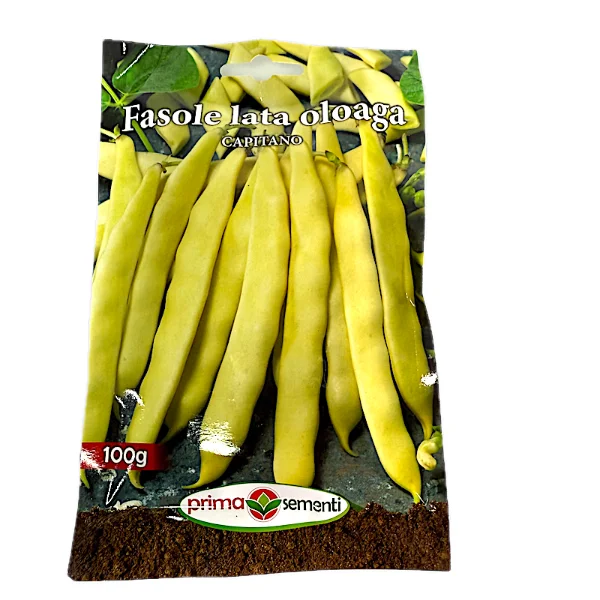 Seminte fasole de gradina galbena, lata, oloaga Capitano 100 gr, Prima Sementi