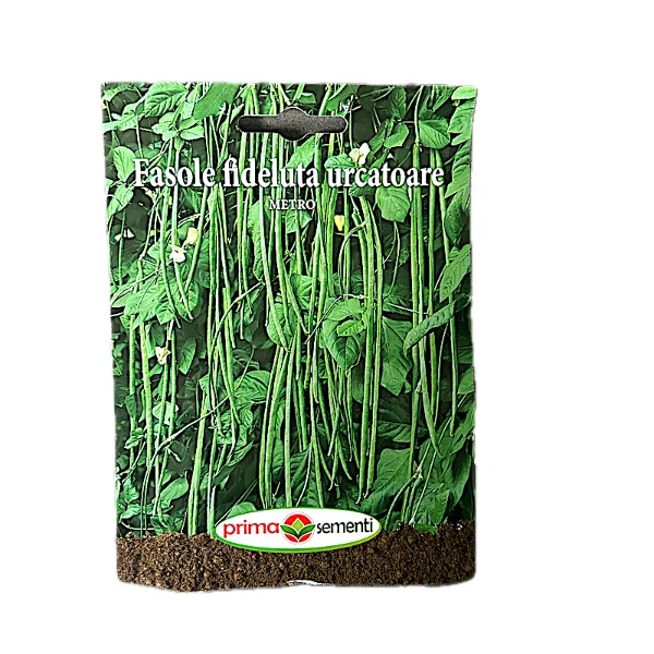 Seminte fasole fideluta urcatoare verde Metro 10 gr, Prima Sementi