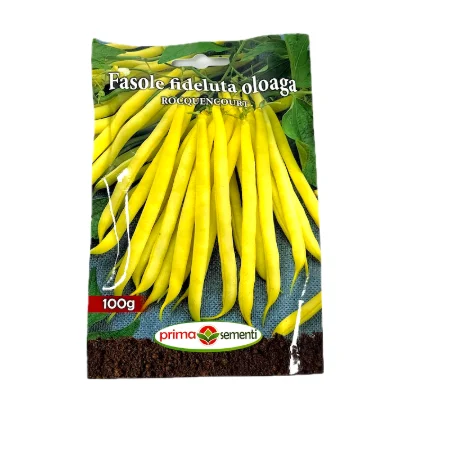Seminte fasole oloaga galbena fideluta Rocquencourt 100 gr, Prima Sementi