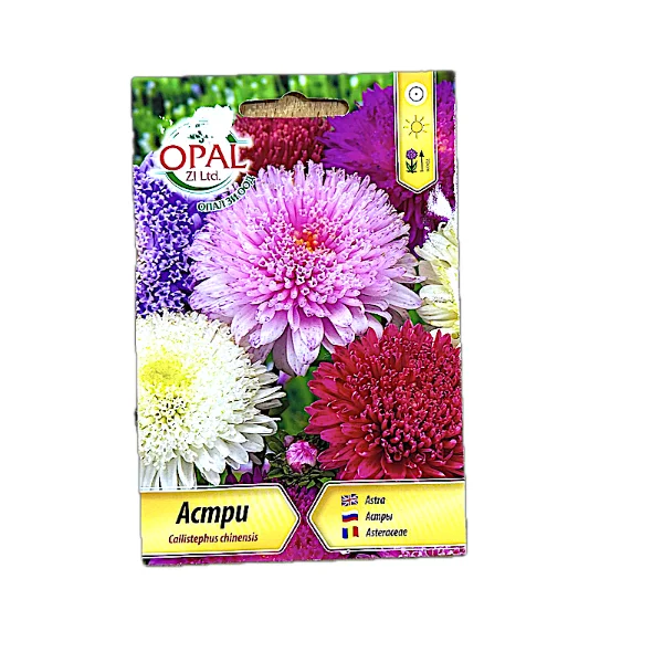 Seminte flori Asteraceae Princess (Ochiul Boului) 0,7gr, OpalZi Bulgaria