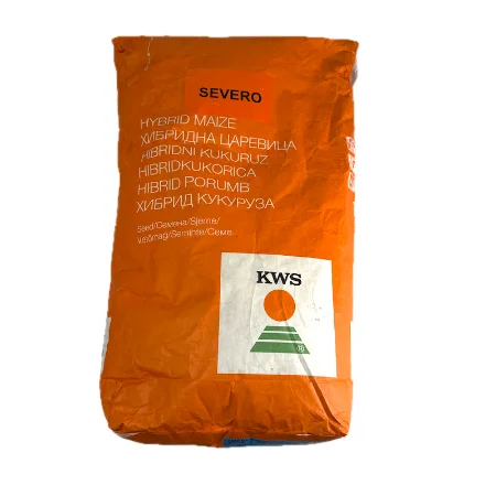 Seminte porumb KWS Severo, 25.000 boabe, FAO 280, morarit