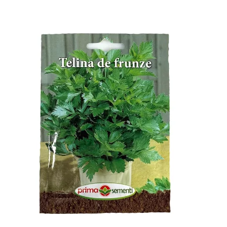 Seminte telina de frunze 1,5 gr, Prima Sementi