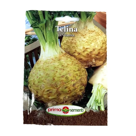 Seminte telina de radacina Di Verona 2 gr, Prima Sementi