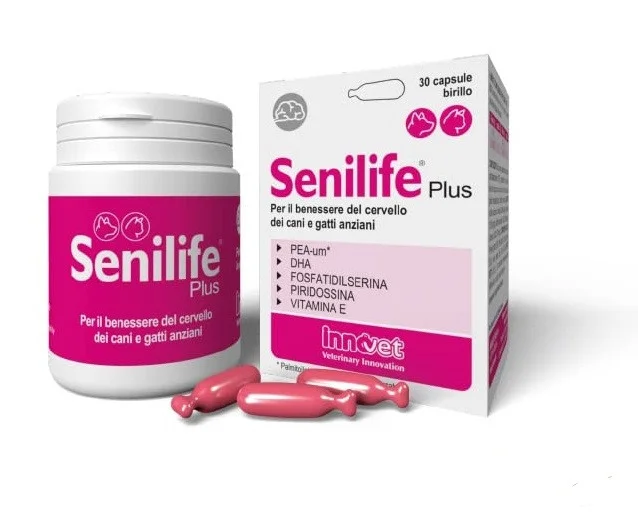 Senilife Plus, capsule