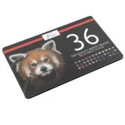 Set 36 creioane colorate Nassau AR0213/GE