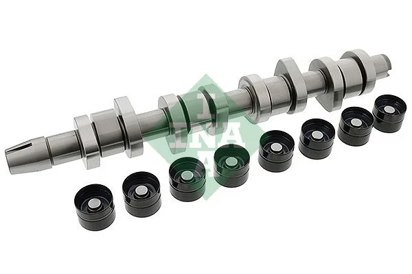 Set ax cu came Schaeffler INA 428 0042 30