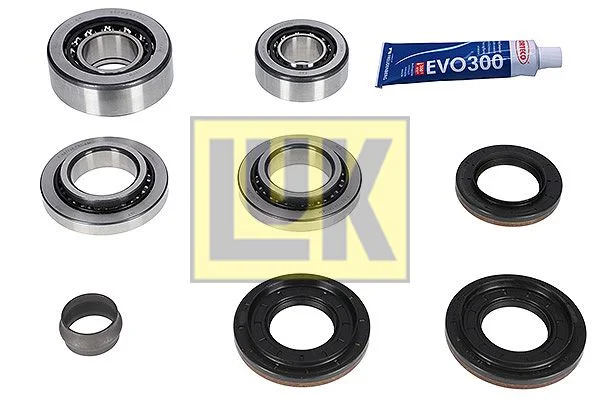 Set reparatie, diferential Schaeffler LuK 462 0215 10