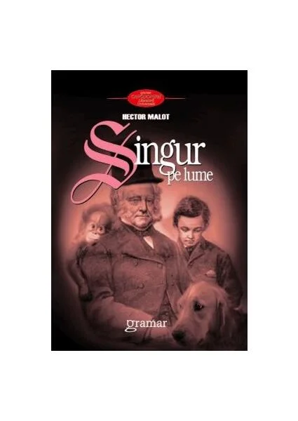 Singur pe lume - Paperback - Hector Malot - Gramar
