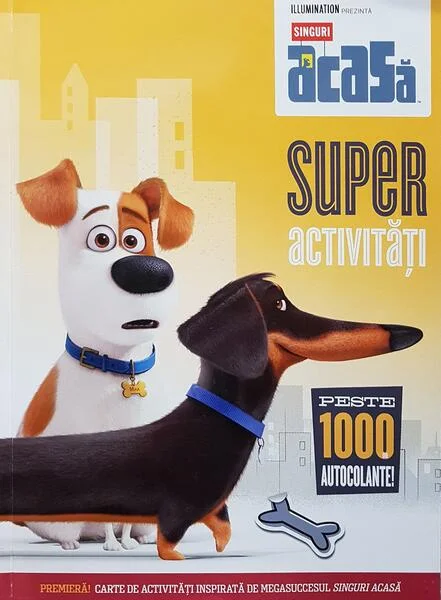 Singuri acasă: superactivități - Paperback brosat - Litera