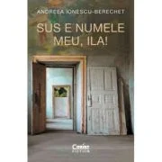 Sus e numele meu, Ila! - Andreea Ionescu-Berechet