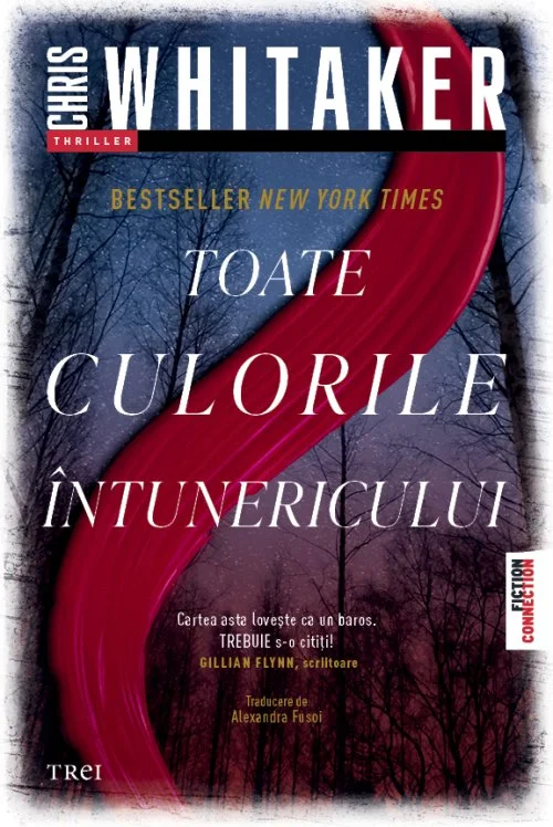 Toate culorile întunericului - Chris Whitaker