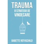 Trauma. 8 strategii de vindecare - Babette Rothschild
