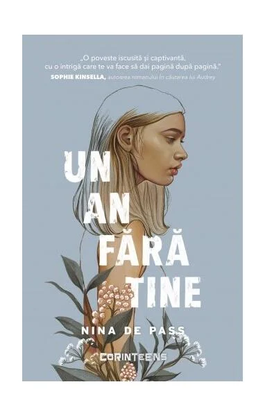 Un an fără tine - Paperback brosat - Nina de Pass - CORINTeens