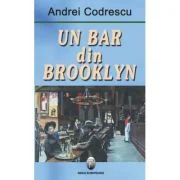 Un bar din Brooklyn - Andrei Codrescu
