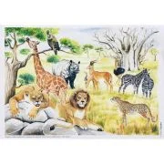 Vietuitoare si mediul lor de viata. Set planse