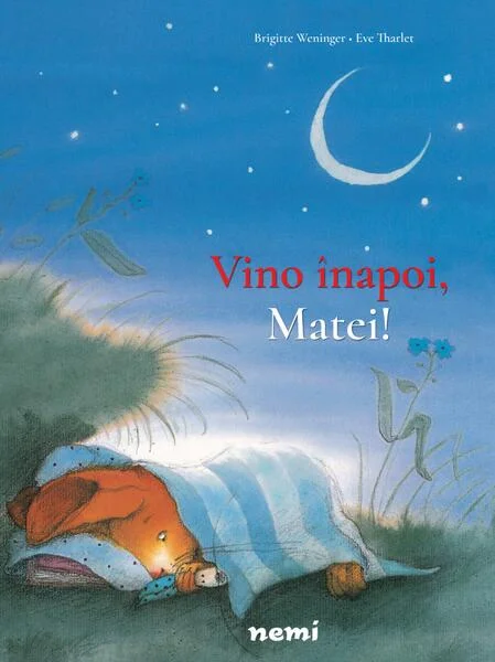 Vino înapoi, Matei! - Paperback - Brigitte Weninger - Nemira